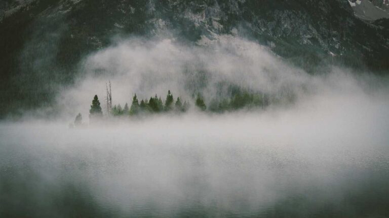 How To Sign Up For A New 99Exch Id?